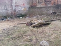 2015-03-13_00007.jpg