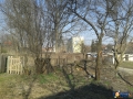 2015-03-19_00032.jpg