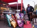 Dobre Miasto 2015-05-01_00004.jpg