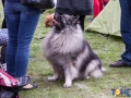 Dobre Miasto 2015-05-01_00113.jpg