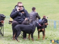 Dobre Miasto 2015-05-01_00117.jpg