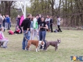 Dobre Miasto 2015-05-01_00149.jpg