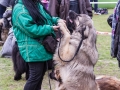Dobre Miasto 2015-05-01_00156.jpg