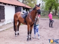 Dobre Miasto 2015-05-09_00016.jpg