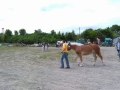 IMG_20150607_123750