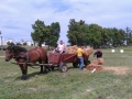 IMG_20150607_142540