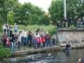 Dobre Miasto 2015-06-26_00047