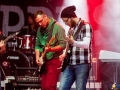 Happysad Dobre Miasto 2015-07-10_00008