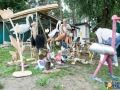 Knopin_Dobre_Miasto_guttstad2015-08-01_00009