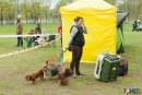 2016-05-01 dobre miasto wystawa psów psy (63)