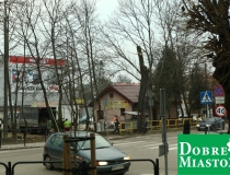 2016-12-16 warszawska drzewo wycinka piła drwal (4) (Medium)