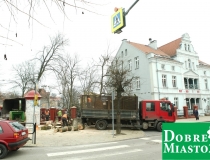 2016-12-16 warszawska drzewo wycinka piła drwal (7) (Medium)