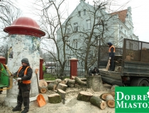 2016-12-16 warszawska drzewo wycinka piła drwal (9) (Medium)