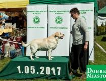 2017-05-01_majówka00004