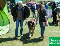 2017-05-01_majówka00006