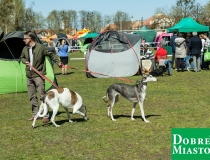 2017-05-01_majówka00009