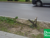 dobre miasto zwycięstwa połamane drzewa (9)