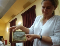 Dzień Pszczoły w Dobrym Mieście (1)