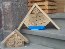 Dzień Pszczoły w Dobrym Mieście (10)