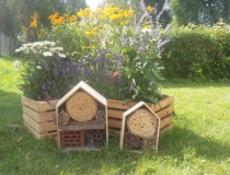 Dzień Pszczoły w Dobrym Mieście (8)