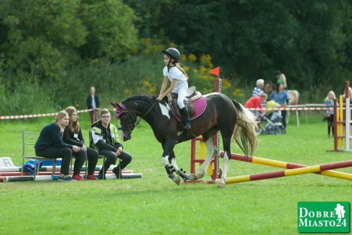 Zawody-konne-Dobre-Miasto_00002