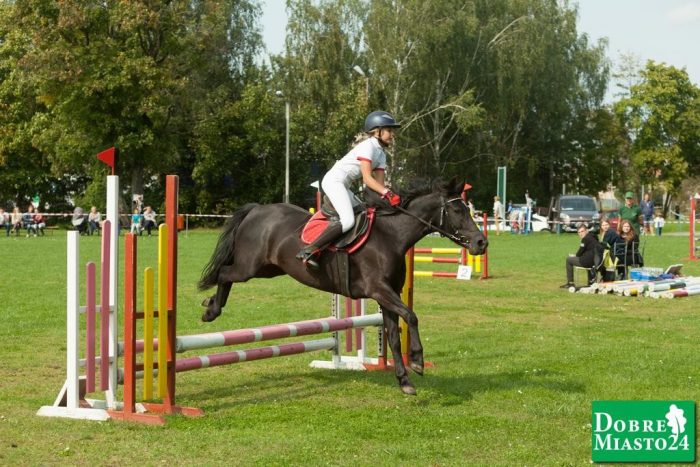 Zawody-konne-Dobre-Miasto_00094