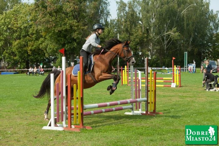 Zawody-konne-Dobre-Miasto_00097