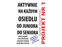 Dobre Miasto budżet obywatelski 2018_00014_700