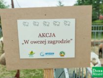 2017-09-03_świątki-dożynki_00001