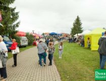 2017-09-03_świątki-dożynki_00007