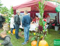 2017-09-03_świątki-dożynki_00013
