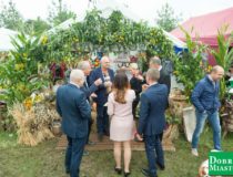 2017-09-03_świątki-dożynki_00015