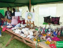 2017-09-03_świątki-dożynki_00025