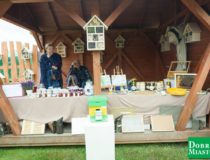 2017-09-03_świątki-dożynki_00028