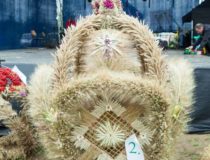 2017-09-03_świątki-dożynki_00033