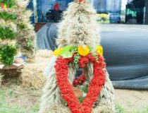 2017-09-03_świątki-dożynki_00037