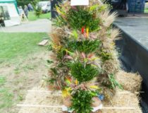 2017-09-03_świątki-dożynki_00038