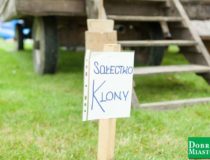 2017-09-03_świątki-dożynki_00043