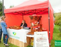 2017-09-03_świątki-dożynki_00050