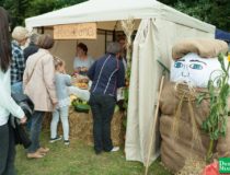 dozynki-dobre-miasto-2017_00097