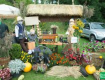 dozynki-dobre-miasto-2017_00110