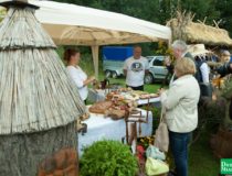 dozynki-dobre-miasto-2017_00112