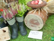 dozynki-dobre-miasto-2017_00114