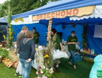 dozynki-dobre-miasto-2017_00115