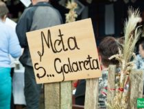 dozynki-dobre-miasto-2017_00117