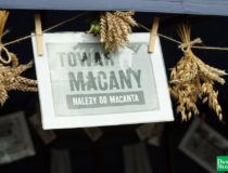 dozynki-dobre-miasto-2017_00121