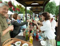 dozynki-dobre-miasto-2017_00143