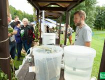 dozynki-dobre-miasto-2017_00147