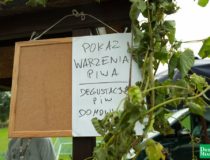 dozynki-dobre-miasto-2017_00148