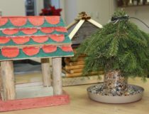 2017-12-22 warszawska karmnik konkurs (6)